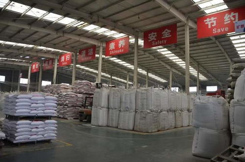 无抗时代新篇章 普爱集团教槽料研发首创客制化地坪材料的创新融合